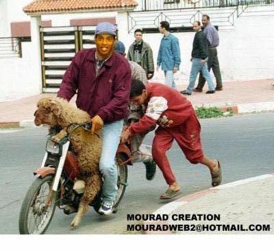 ronaldinho meli rayehetaref l maroc