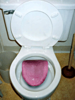 voila